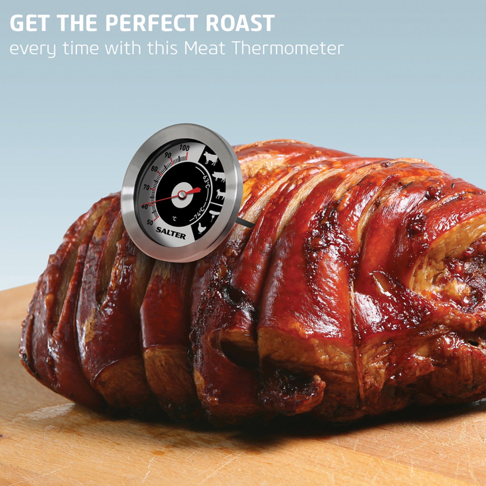 Salter Thermometer Analogue Meat Kitchen Food Temperature Probe Stainless Steel